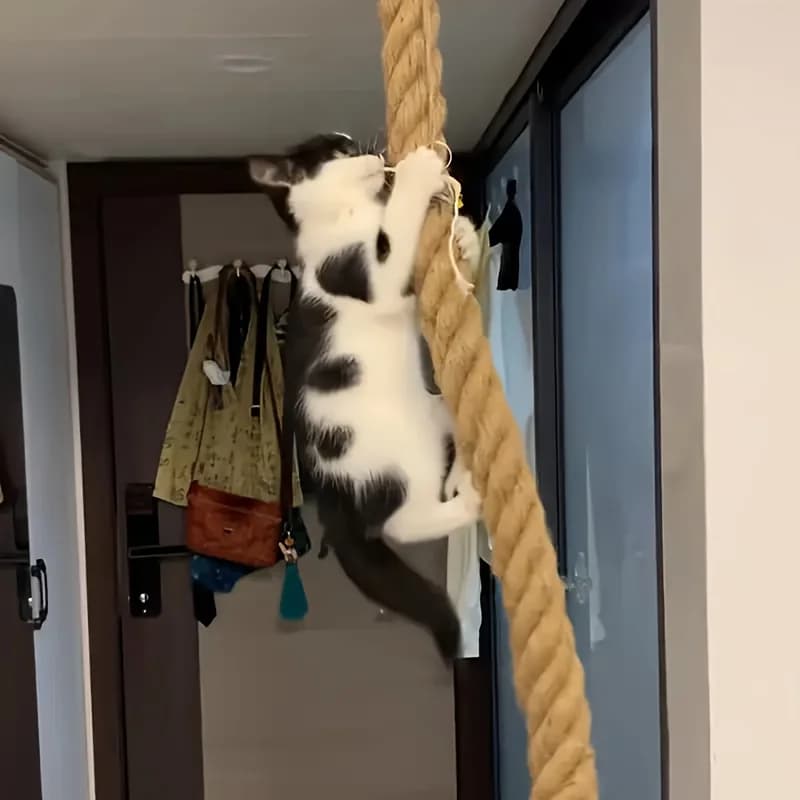 Cat Scratcher Rope DIY Natural Sisal Rope Toy Cats Paw Claw Furniture Protector Cat Tree Tower Climbing Frame Binding Rope