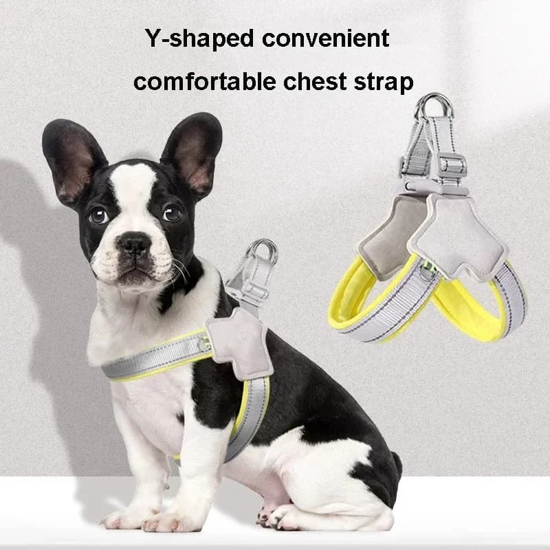 Guinzaglio Riflettente e Traspirante per Cani, Imbracatura a Y Comoda e Regolabile per Cani Teddy, Bichon, Bear