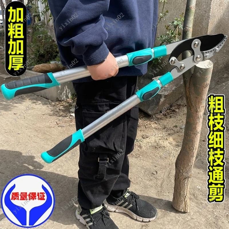Power Scissors Robuste for Coppers and Fruit Trees, Gardening Tools