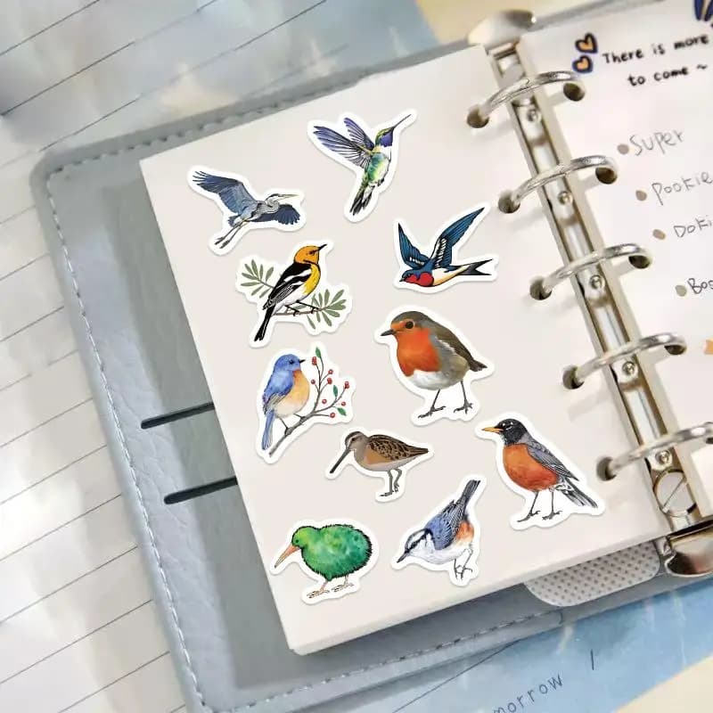 Nuovo Set di 500 Adesivi a Tema Uccelli per Telefono, Scrapbook, Buste, Regali, Tazze, Chitarre, Skateboard, Quaderni, Impermeabili e Decorativi