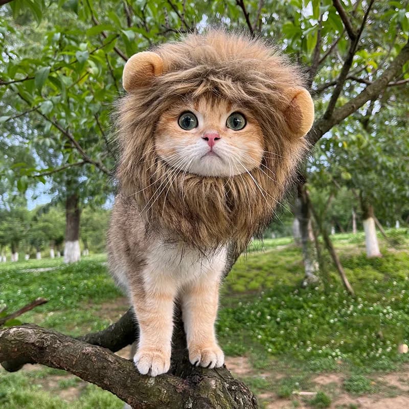 Cappello per Animali Domestici Divertente e Carino, Parrucca per Gatti, Costume da Leone con Criniera, Cappello per Gattini e Cani con Orecchie, Accessori per Feste a Tema