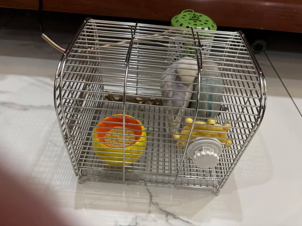 304 Stainless Steel Small Pet Carrier Cage for Birds Hamsters Sugar Gliders Travel Handheld
