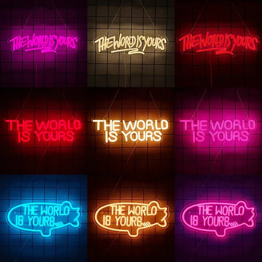 Luce al neon a LED per decorazioni murali, camera da letto, matrimonio, man cave, home bar, sala giochi, regali di compleanno, insegna USB con scritta 'The World is Yours'.