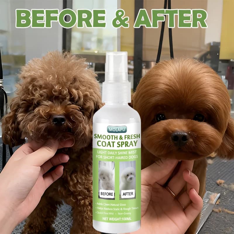 Prodotti per la Toelettatura e la Cura degli Animali Domestici Spray Istantaneo 10-in-1 per Pelo Corto - Aiuta a levigare il pelo sfuso, ammorbidire il pelo secco e mantenere il pelo corto ordinato e facile da pettinare - Spray leggero per una lucentezza fresca e naturale senza sensazione grassa - Spray per la cura quotidiana specificamente progettato per cani a pelo corto