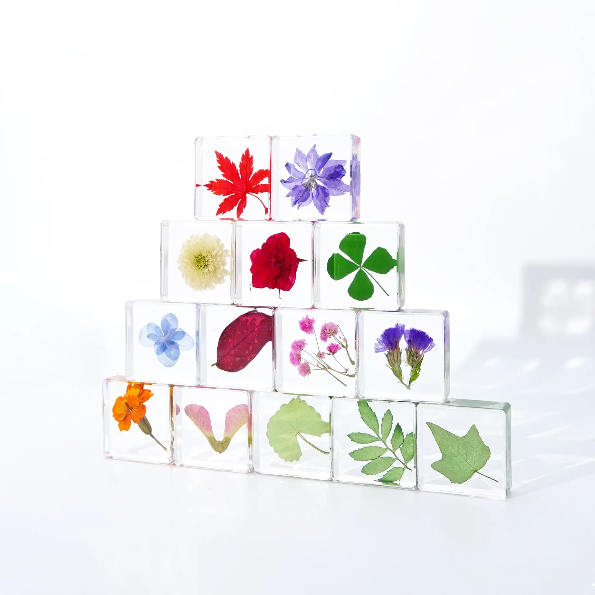 Peacock herb, maple leaf, specimen of plants in creative crystal epoxy resin: ornament of roses and leaves, unique artistic exposure