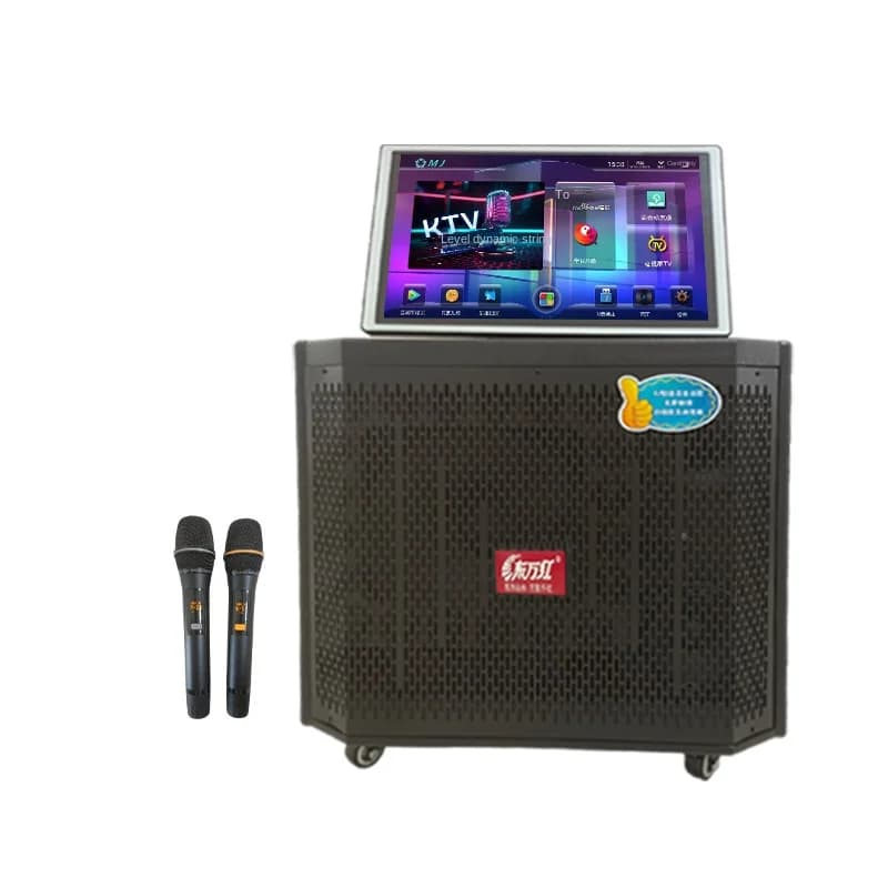 Macchina Karaoke All-in-One per Casa con Schermo Touch, Karaoke Mobile per Esterni con Altoparlante Bluetooth per Balli di Gruppo