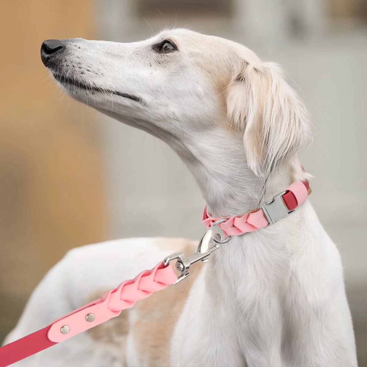 Pet Dog Comfortable Grip PVC Leash High Quality Fashion New Waterproof Resistant Dirt Deodorant Flower braid Leash Pet Supplies