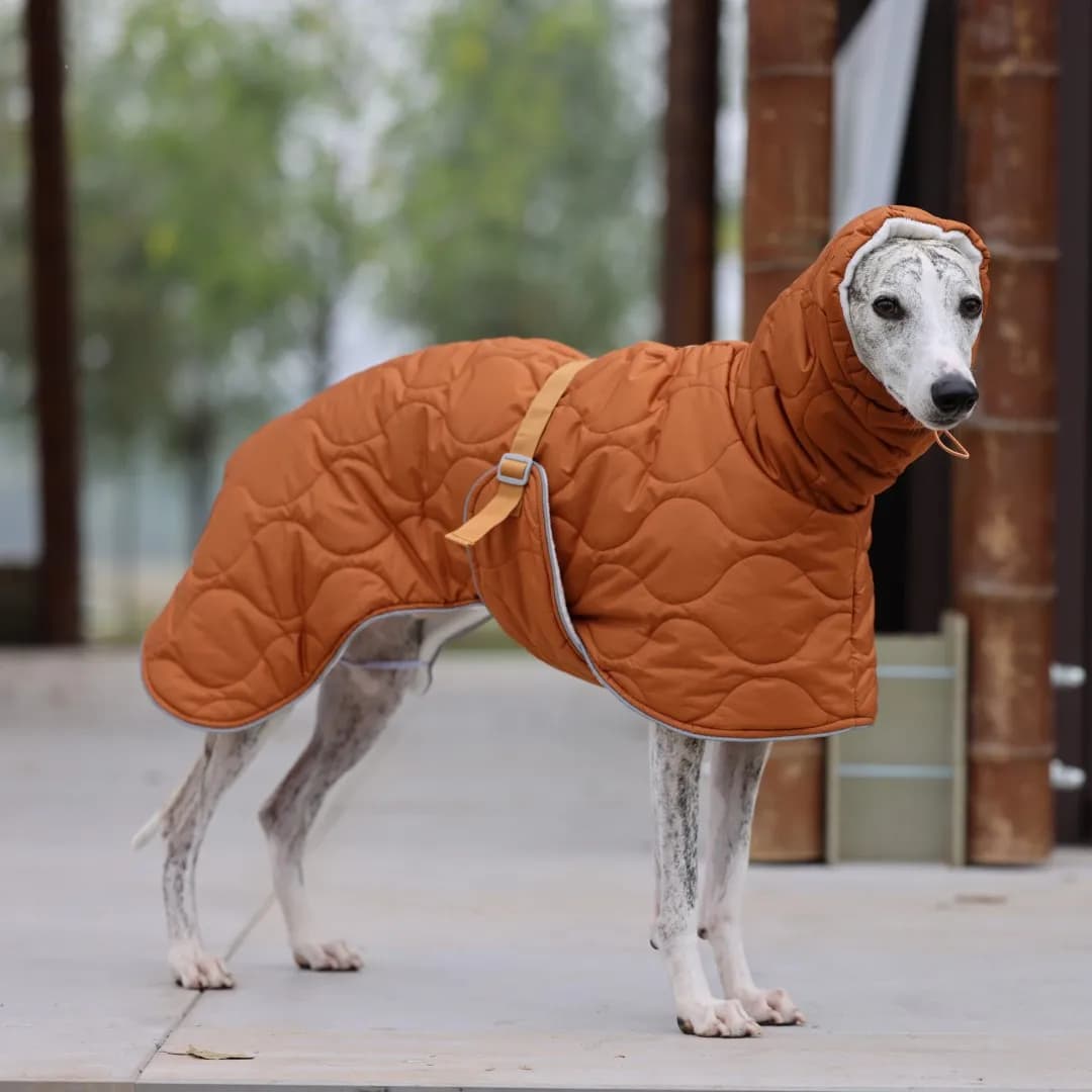 Calda giacca invernale per cani per razze piccole/medie/grandi - Cappotto impermeabile resistente con fodera spessa e cinghie regolabili