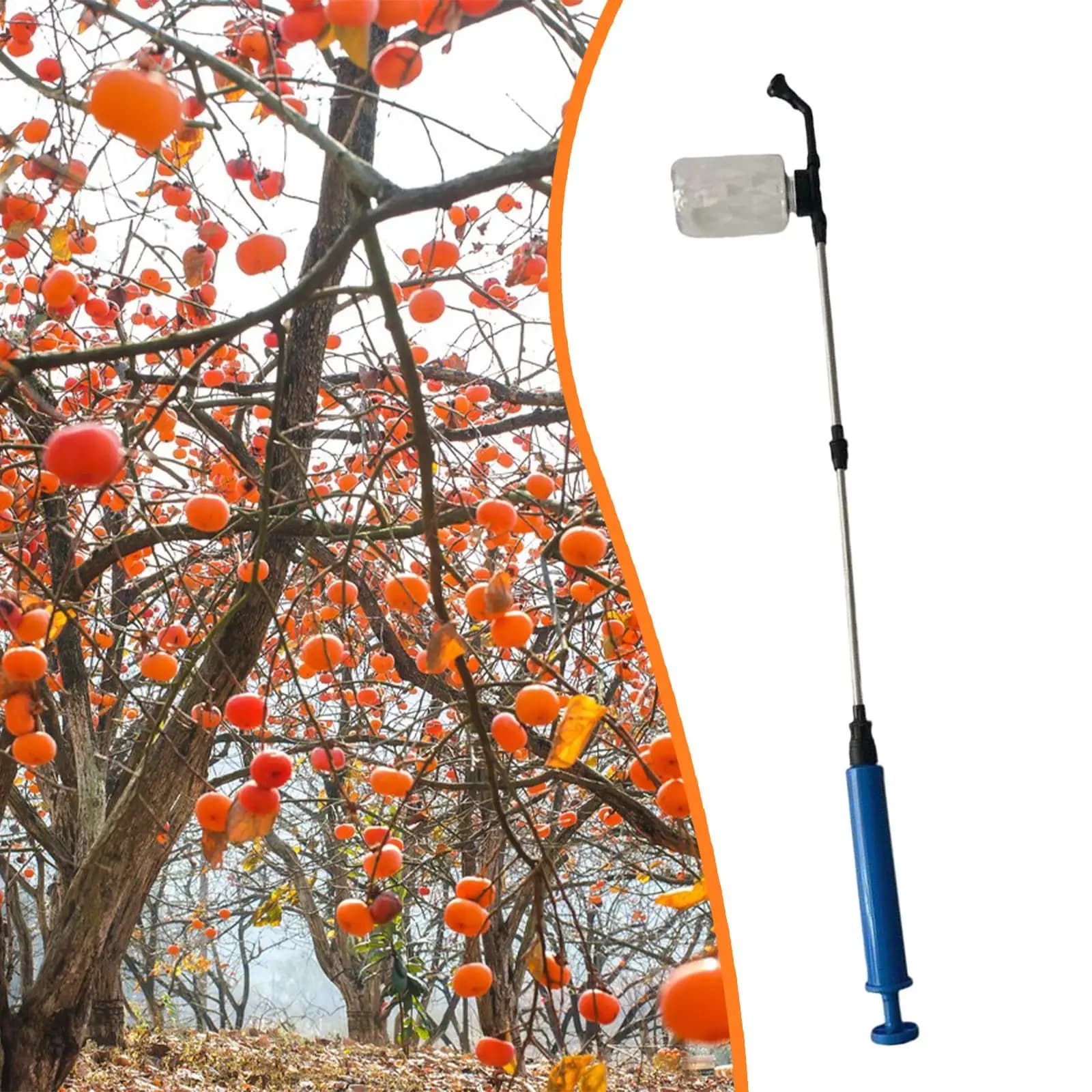 Applicatore Manuale di Polvere a Lunghezza Regolabile per Giardino, Strumento Estensibile per la Polinizzazione di Alberi da Frutto in Frutteto