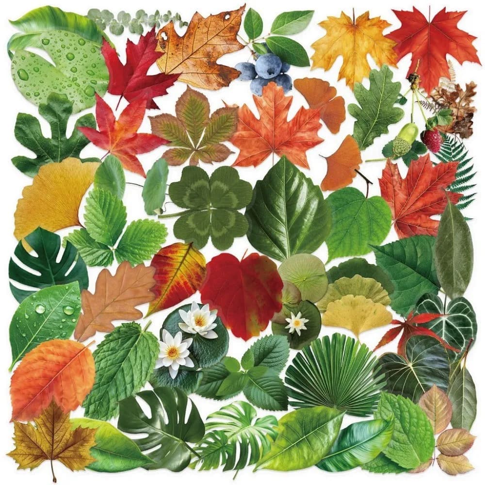 Confezione di adesivi trasparenti con foglie stile INS da 50 pezzi - PET impermeabile per scrapbooking, decorazioni per chitarra e notebook RegistrazioneYourLife Store