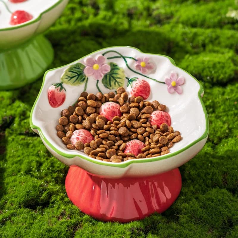 Ciotola Rialzata in Ceramica per Animali Domestici, Ciotola Antiscivolo per Gatti con Design Rialzato Anti-Soffocamento e Motivo 3D a Fragola, per Cibo e Acqua