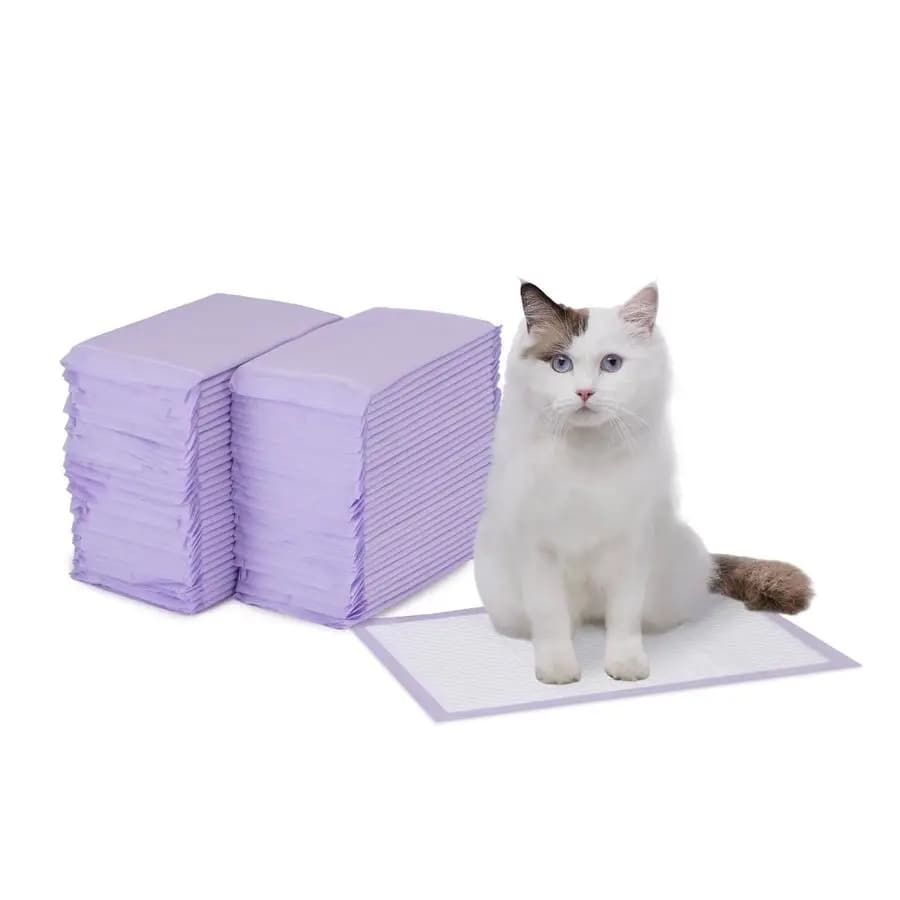 Ricariche per lettiera per gatti, profumo fresco, confezione da 60, bianco viola