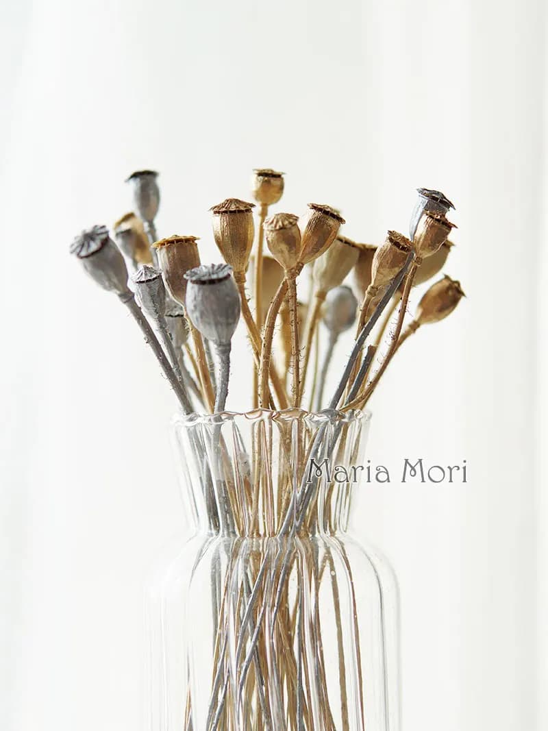 10 pezzi/fiori conservati mais papavero frutta decorazione della casa materiale fai da te colla di cristallo candele fatte a mano fiori epossidici oro argento