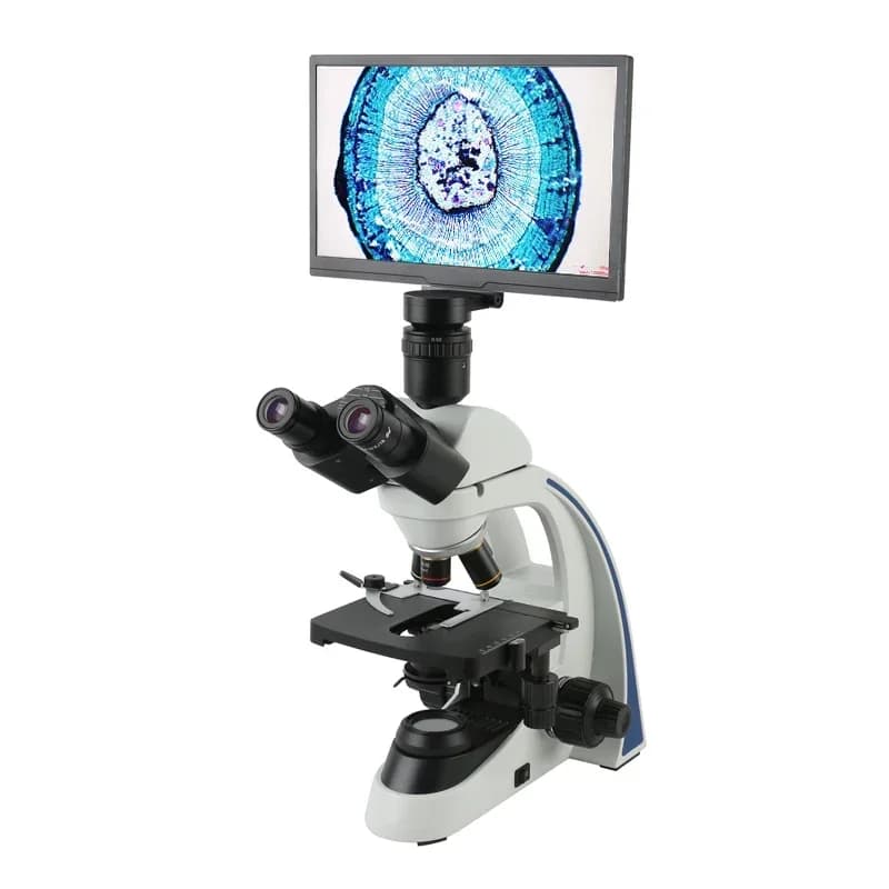 FHD 1080P 11.6 "LCD 1000X 1600X 2000X Laboratorio Microscopio biologico trinoculare professionale + Microscopio video AIO Telecamera medica
