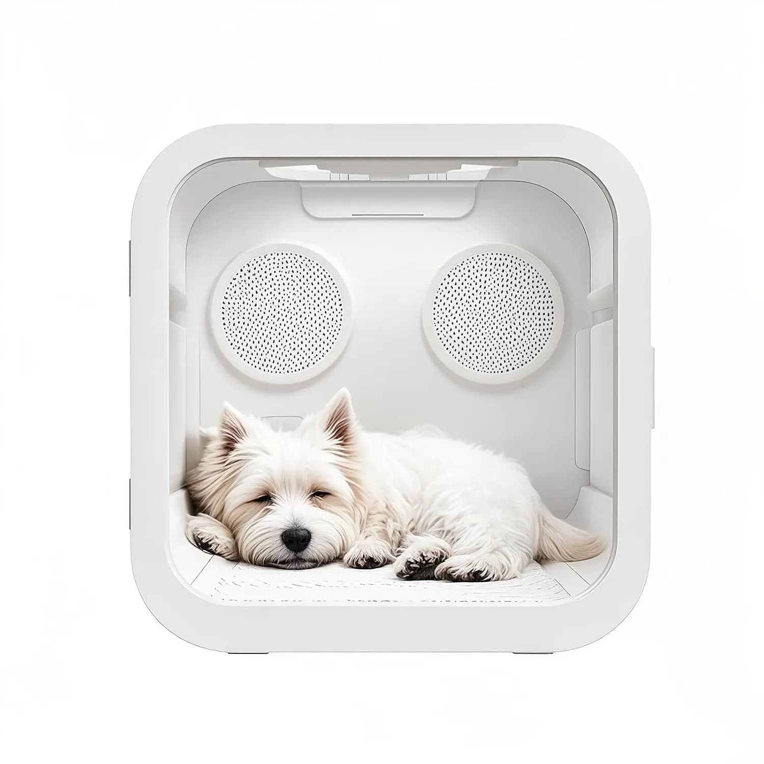 Silenzioso 360 ° Asciugatrice per Animali Domestici con Controllo Intelligente della Temperatura e Finestra Rilassante per Gatti e Cani, Personalizzabile