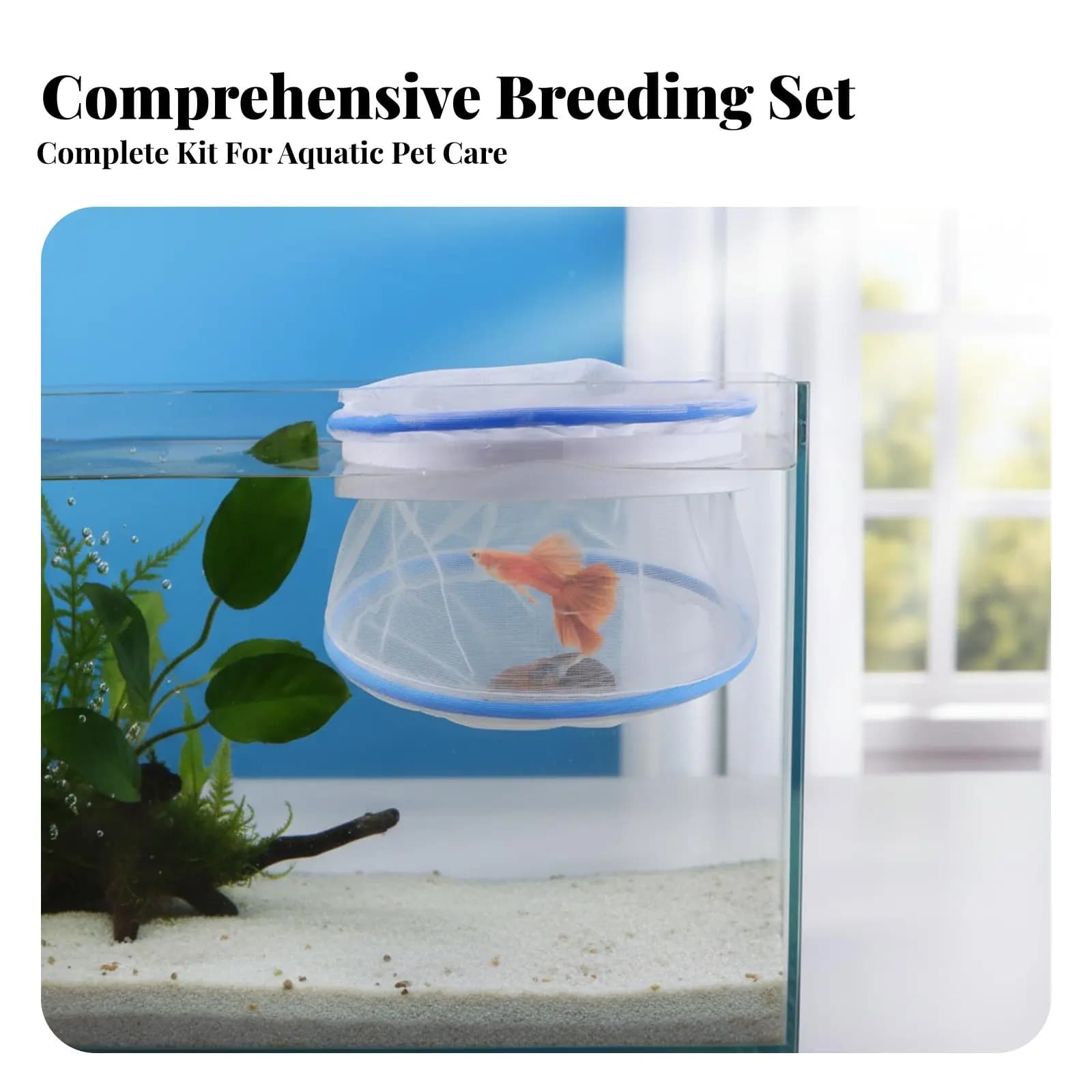 Rete per allevamento guppy con coperchio incernierato, galleggiante, protezione per pesciolini, in robusta rete di nylon, per acquari e vasche.