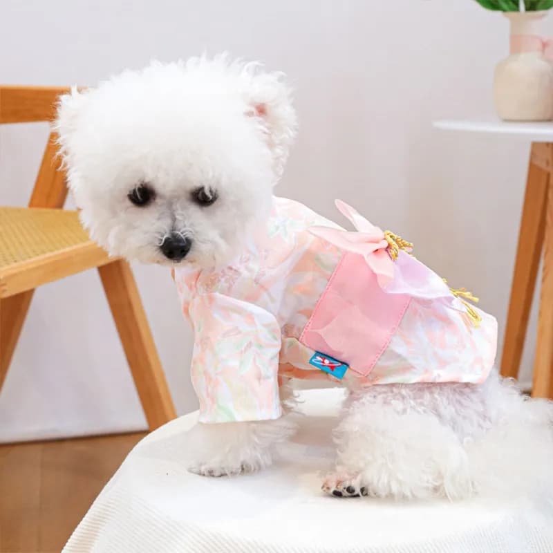 Nuovo Vestito Estivo per Cani e Gatti, Abito da Principessa con Fiocco e Motivo Ciliegio, per Feste e Bagno