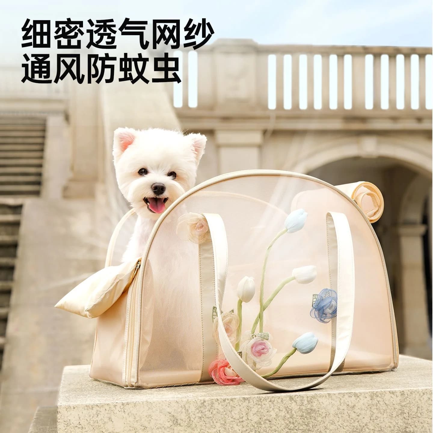 Zaini Trasportino per Cani e Gatti alla Moda, Zaino Traspirante in Rete per Animali Domestici, Borsa da Viaggio Pieghevole per Animali