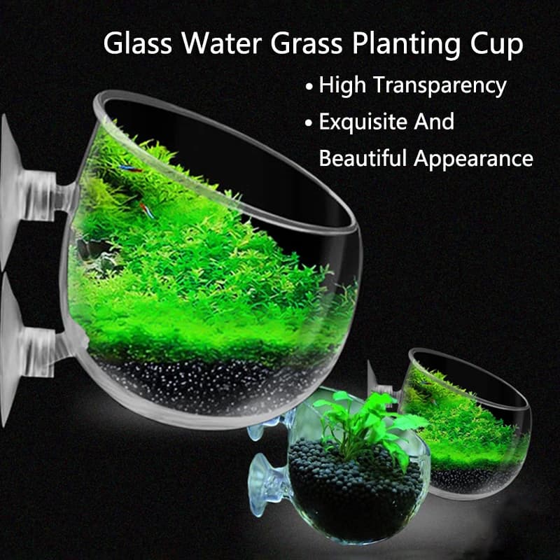 Decorazione dell'acquario di vetro tazza appesa serbatoio di pesce Mini vaso di cristallo Polka acqua in vaso piantare tazze cilindriche accessori per acquari