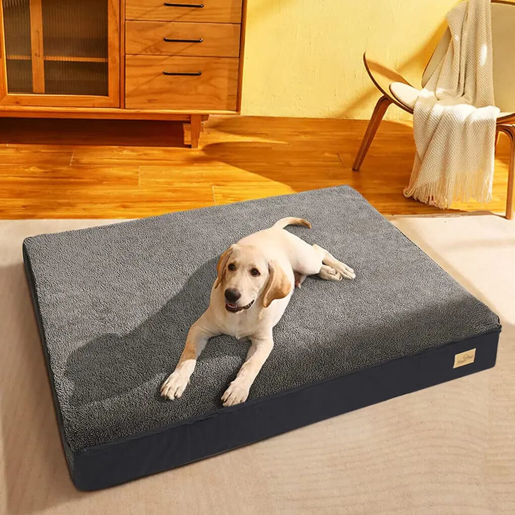 M L XL 2XL letto per cani Jumbo Pet letto ortopedico Base in Memory Foam cassa cuscino opaco con copertura lavabile impermeabile