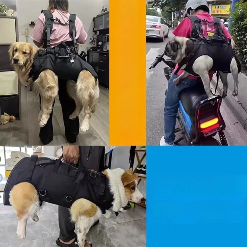 Zaino Trasportino per Cani Robusto, Sicuro e Traspirante per Ciclismo, Borsa da Viaggio Portatile per Animali Domestici con Guinzaglio, Borsa Leggera a Mani Libere