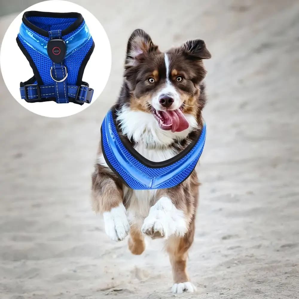 1 pz. Pettorina Luminosa a LED per Cani, Ricaricabile, Impermeabile, Traspirante, per Passeggiate con il Cane