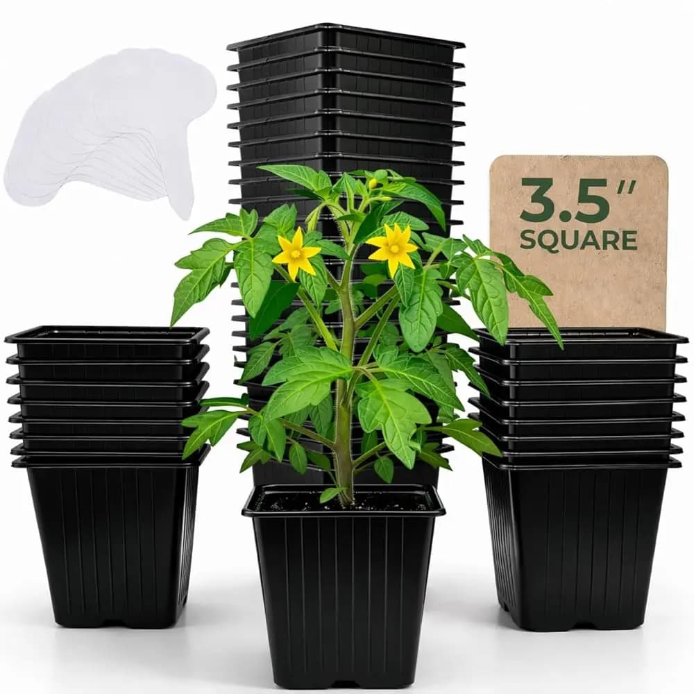 Confezione da 60 Vasi Quadrati per Semenzai - Vaso per Piante da 3,5 Pollici con Fori di Drenaggio - Ottimizzato per Vassoio 1020 - Riutilizzabile e Robusto per Semi
