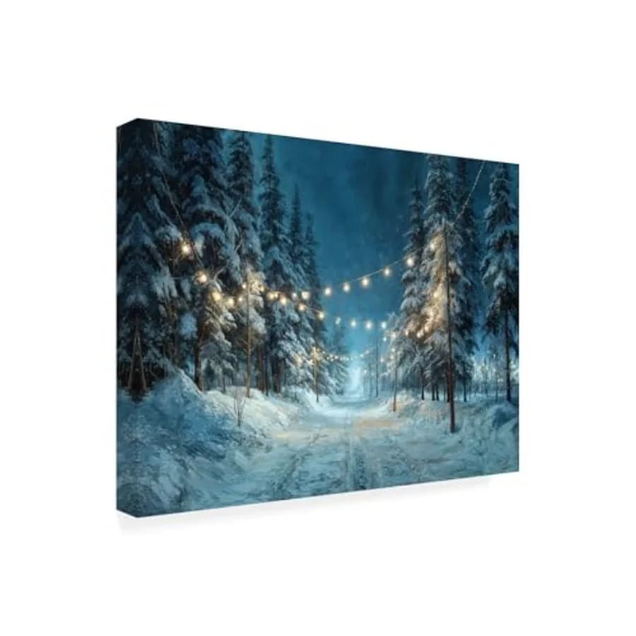 Quadro su tela incorniciato - Immagini di 'Winter Path with Lights at Night 1' per soggiorno, camera da letto o ufficio