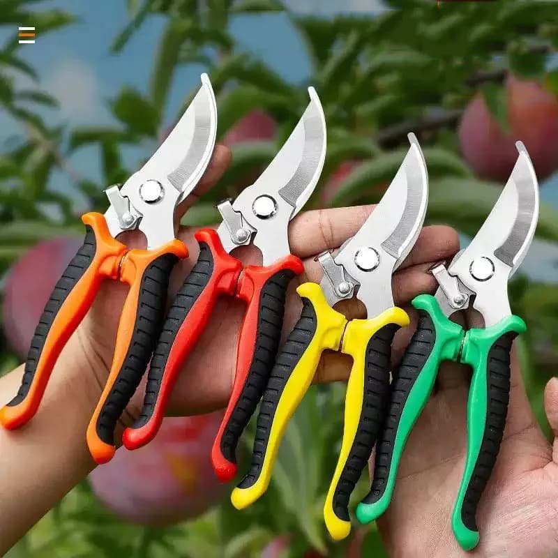 Professional garden scissors for cutting branches, pruning of fruit trees, gardening shears for durable domestic use