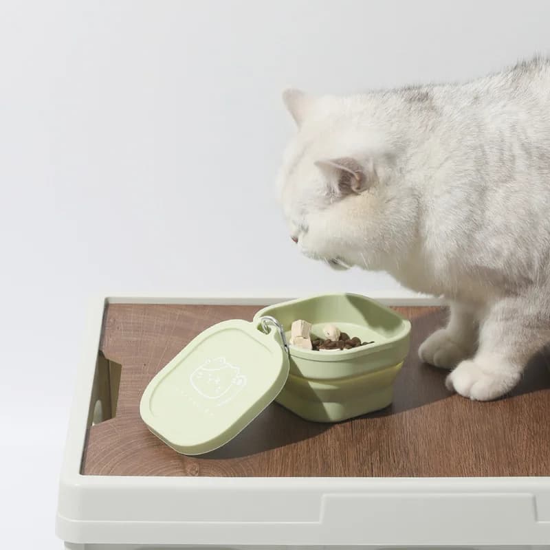 Ciotola portatile pieghevole in silicone per animali domestici, ciotola da viaggio per acqua e cibo, adatta per cani e gatti