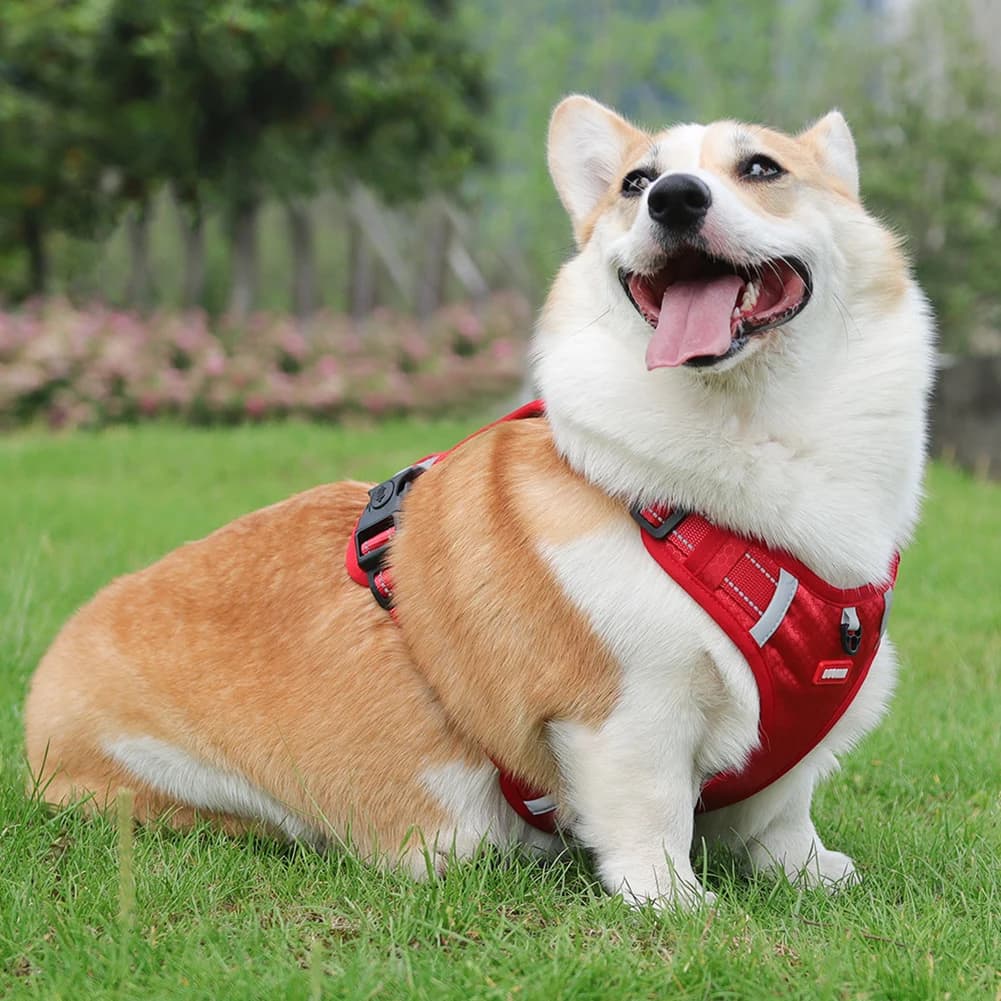 Adjustable Dog Collars Harness,Reflective Strips Dog Harness,Multi-Functional Quick Adjustables Vest Leash Dogs Accessories