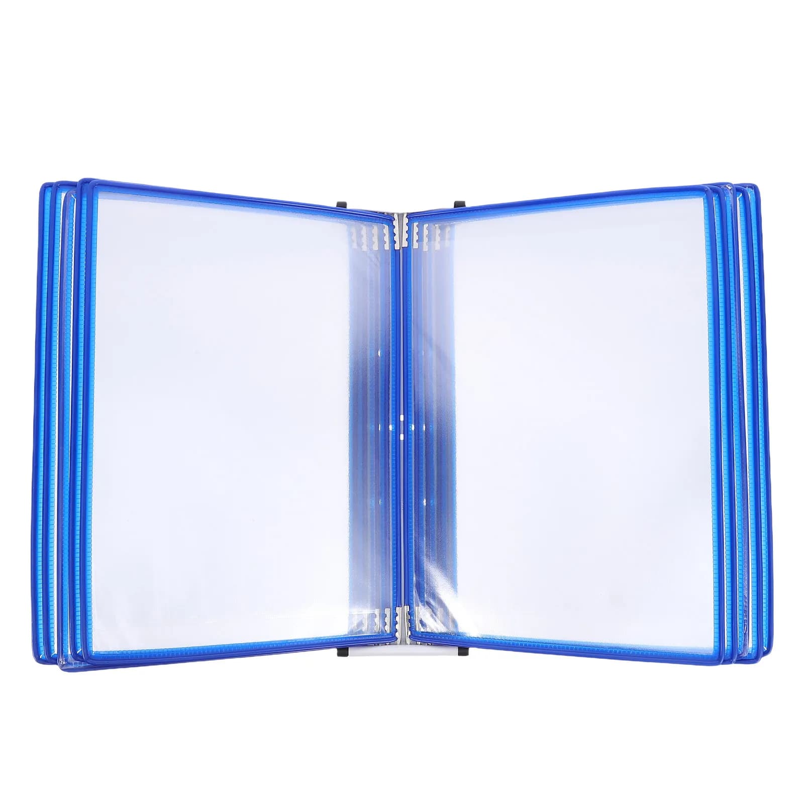 Portadocumenti da Parete A4 a 10 Scomparti, Struttura in Ferro con Pagine in PVC, Espositore Salvaspazio per Documenti da Ufficio, Porta Brochure da Parete