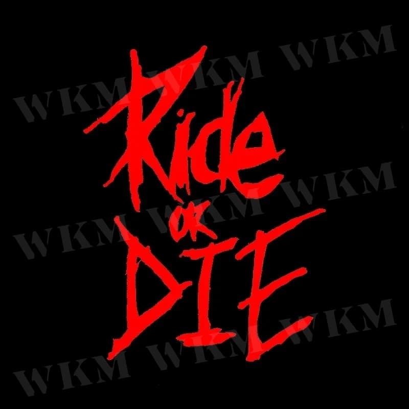 Adesivo per telaio bici Ride Or Die Adesivo per tubo superiore Decalcomanie per biciclette Adesivi per telaio decorativo Adesivi per bici Decalcomania per bici 1pz