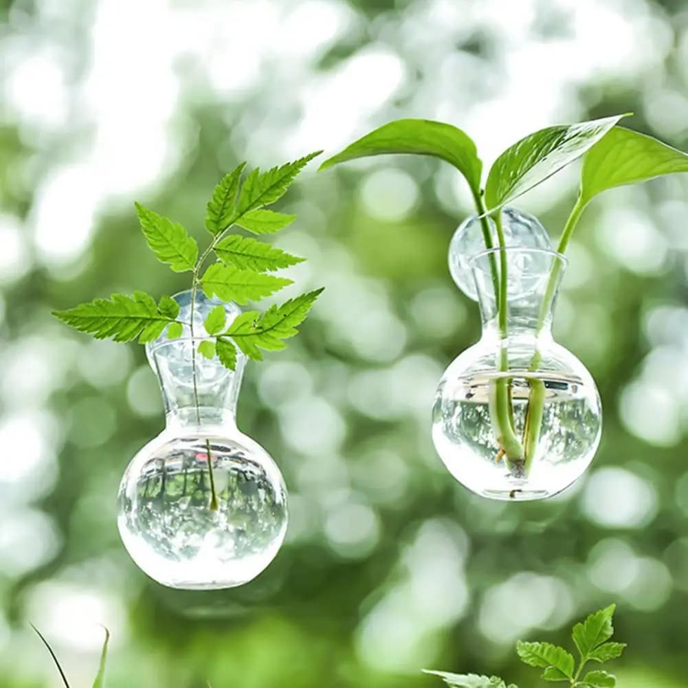 Window Planter Vase Window Plant Holder 1/2/3/4/6/8pcs Window Propagation Station Glass Bulbs with Suction Cups for Growing
