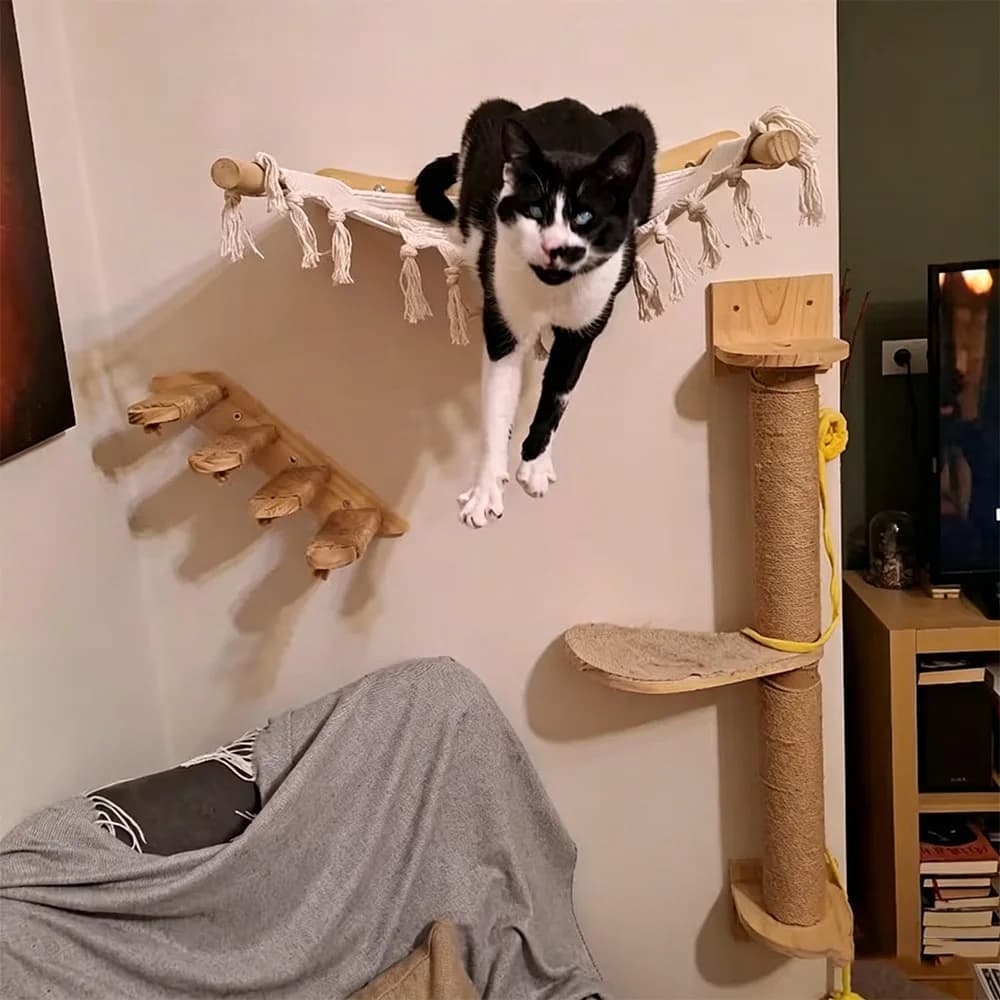 Tiragraffi per Gatti in Legno, Albero per Gatti con Amaca, Postazione di Gioco e Piattaforma Salto, Arredamento da Parete per Animali Domestici da Interno