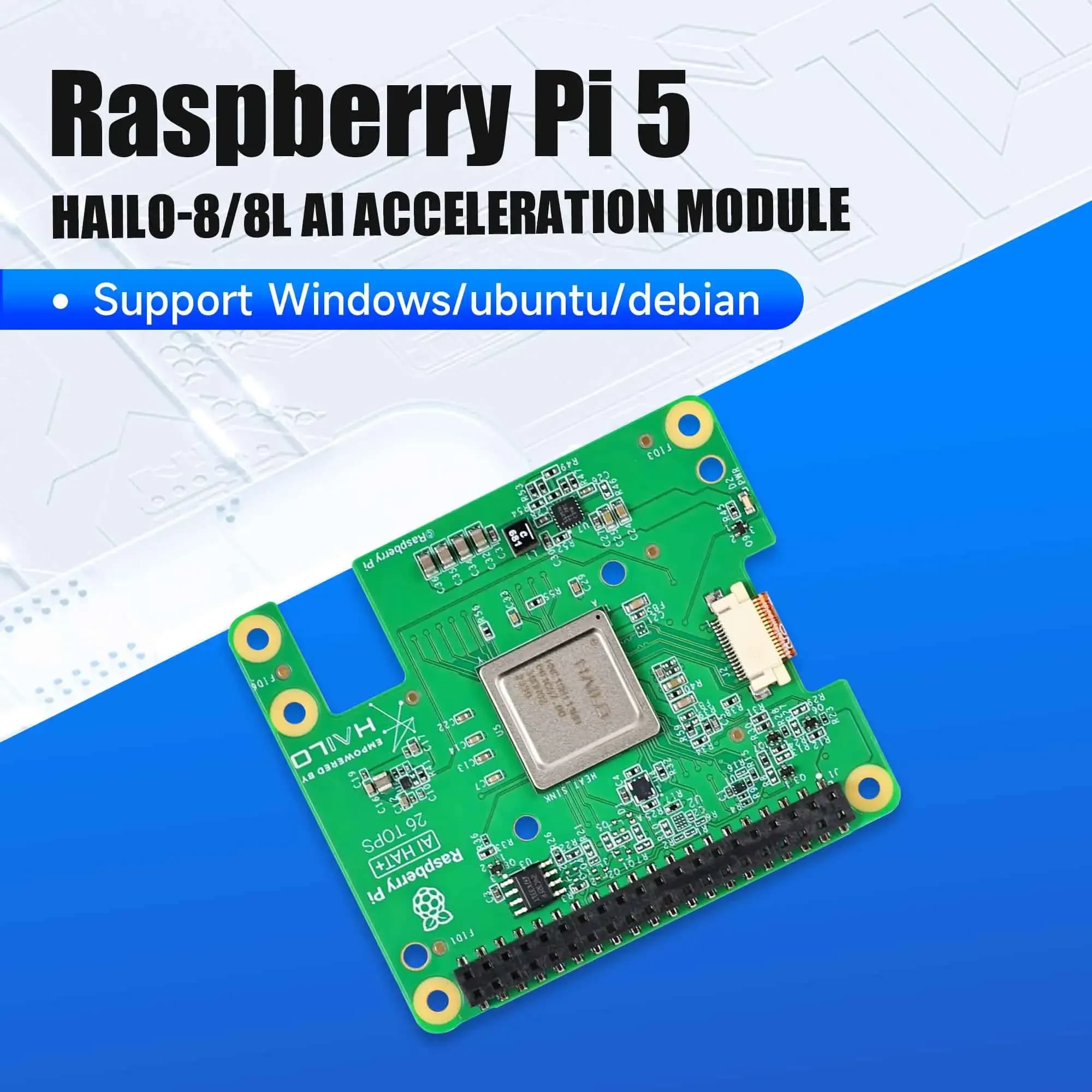 Kit AI Raspberry Pi 5 Accelerator module Hailo-8 and Hailo-8L 13 TOP/26 TOP with PCIe card at M.2 (kit AI Hail-8L Out of stock)