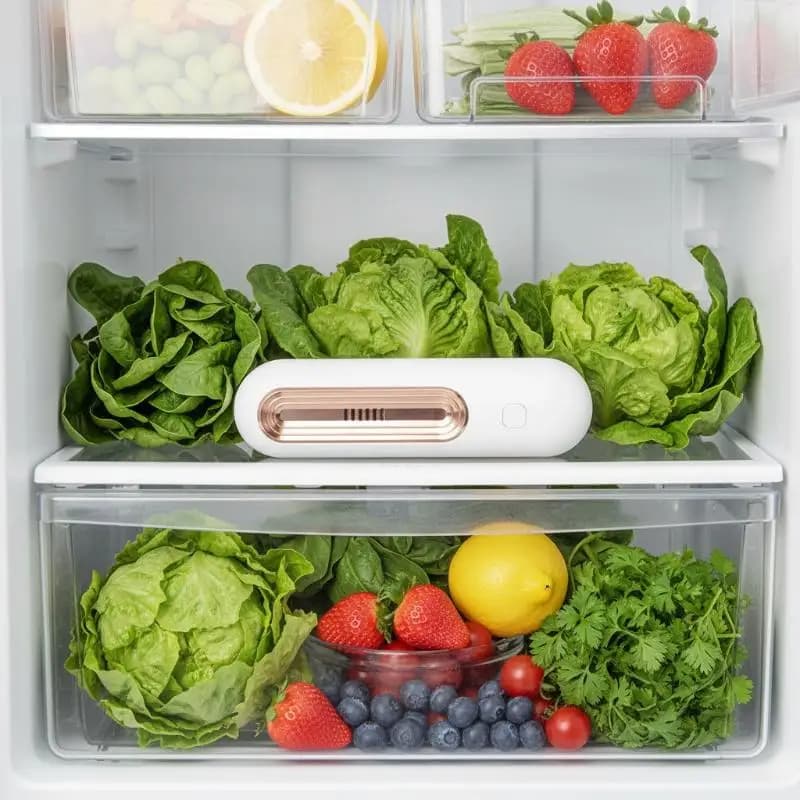 Purificatore d'aria e deodorante multifunzionale per frigorifero, auto, area animali domestici, bagno - Elimina gli odori e prolunga la freschezza degli alimenti