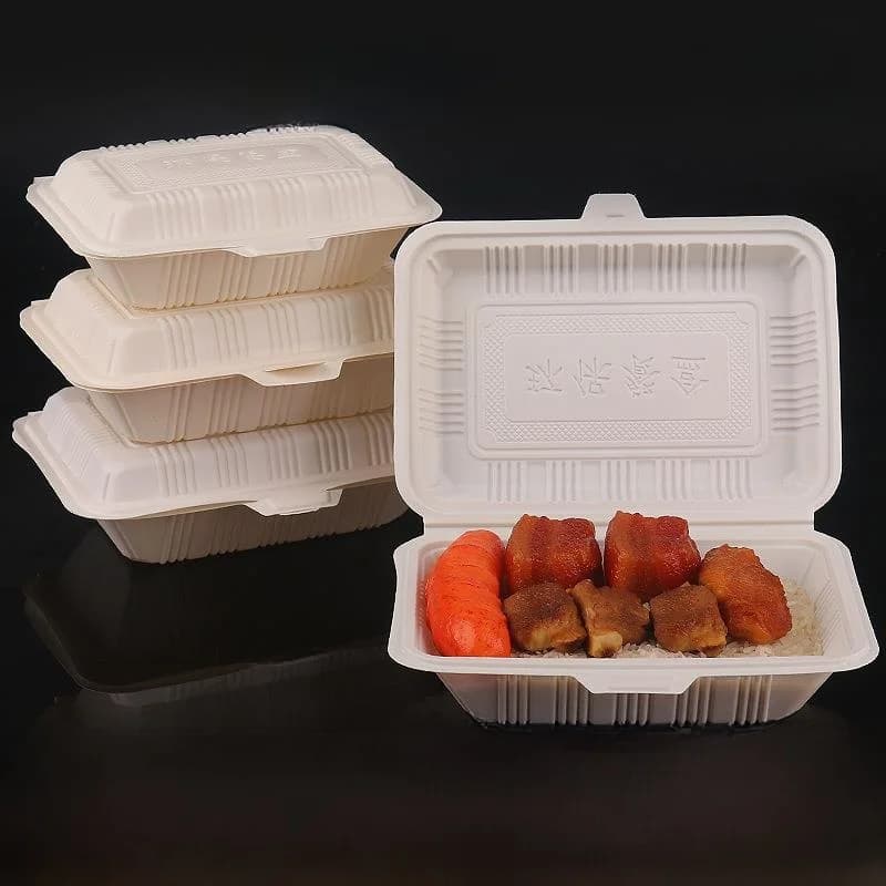 Contenitore per Char Siu Degradabile, Scatola Rettangolare per Pranzo, Imballaggio Integrato per Asporto Commerciale e Fast Food, Economico