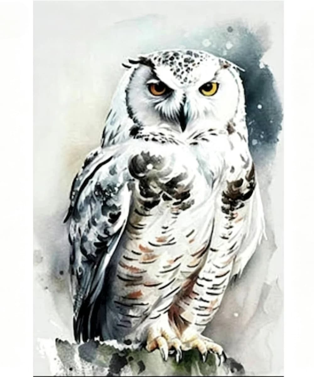 Owl DIY Oil Painting By Numbers Kit Animal Acrylic Paint By Numbers for Adult Canvas Painting Coloring By Numbers