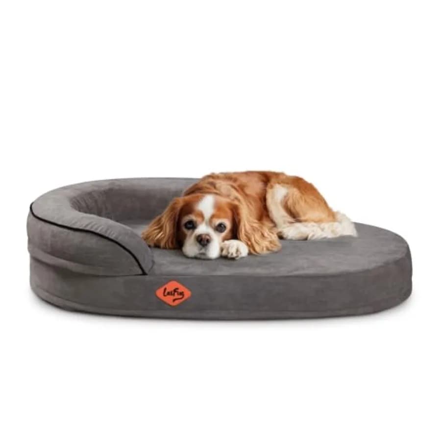 Cuccia Ovale per Cani in Memory Foam 54x36x12 Pollici Grigio Scuro, Ortopedica con Rivestimento Impermeabile Resistente e Fodera Rimovibile Lavabile