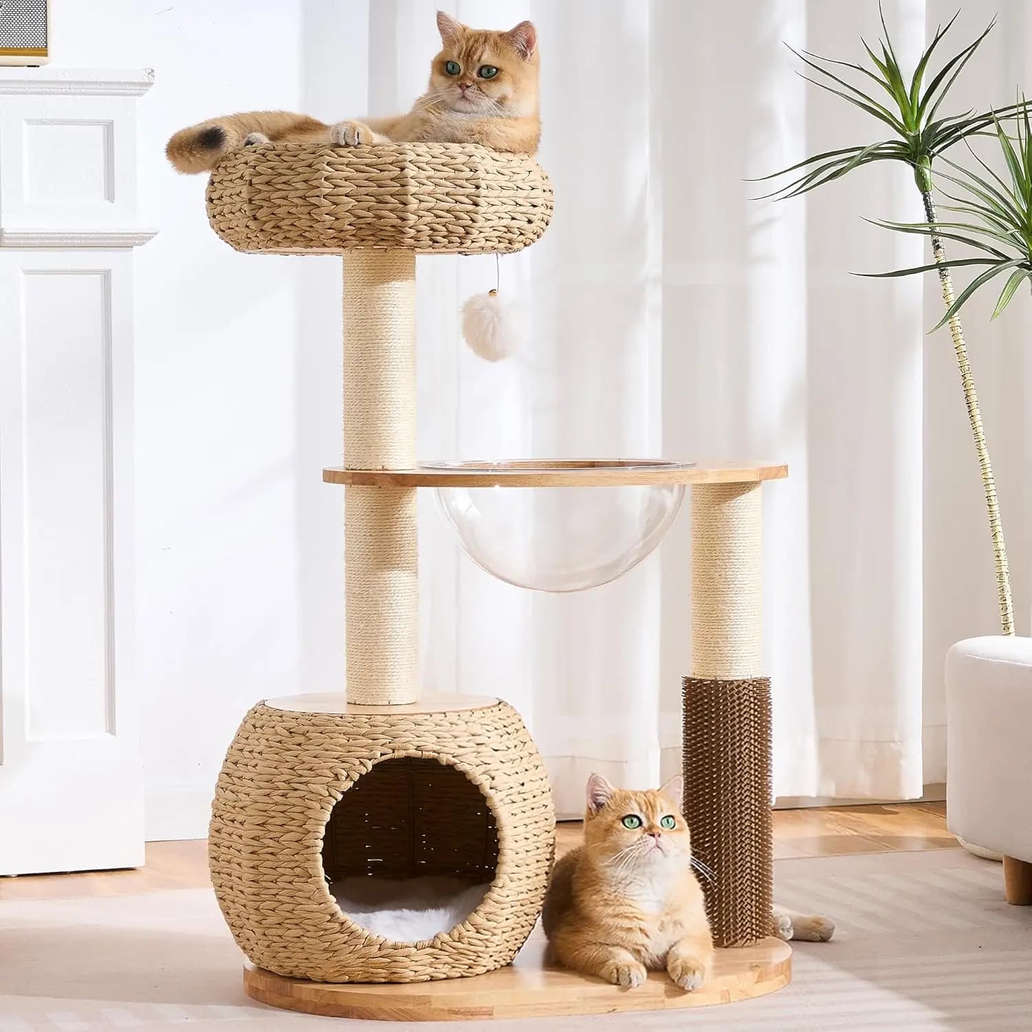 Albero per Gatti in Legno Massello e Rattan per Interni, Colore Naturale, con Cuccia Fatta a Mano, Grotta, Capsula, Postazione Toelettatura e Tiragraffi