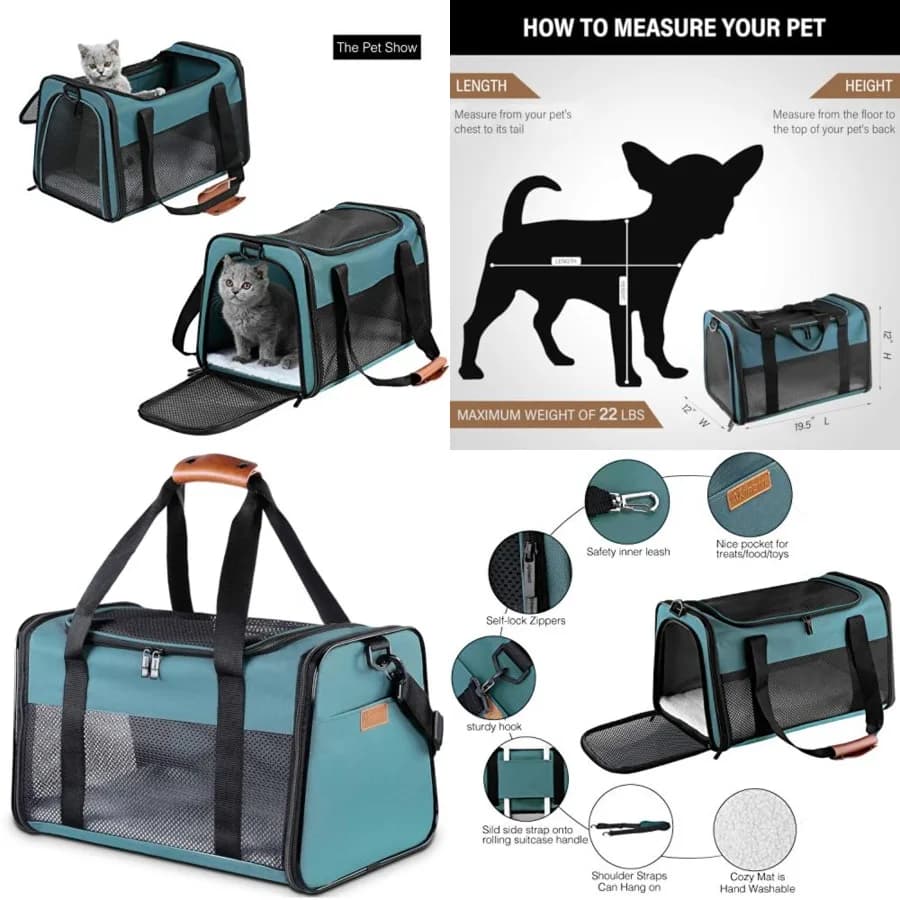 Trasportino per Gatti - Borsa Pieghevole Portatile per Cani e Animali Domestici, Borsa Morbida per Animali fino a 10 kg, Trasportino da Viaggio Approvato dalle Compagnie Aeree