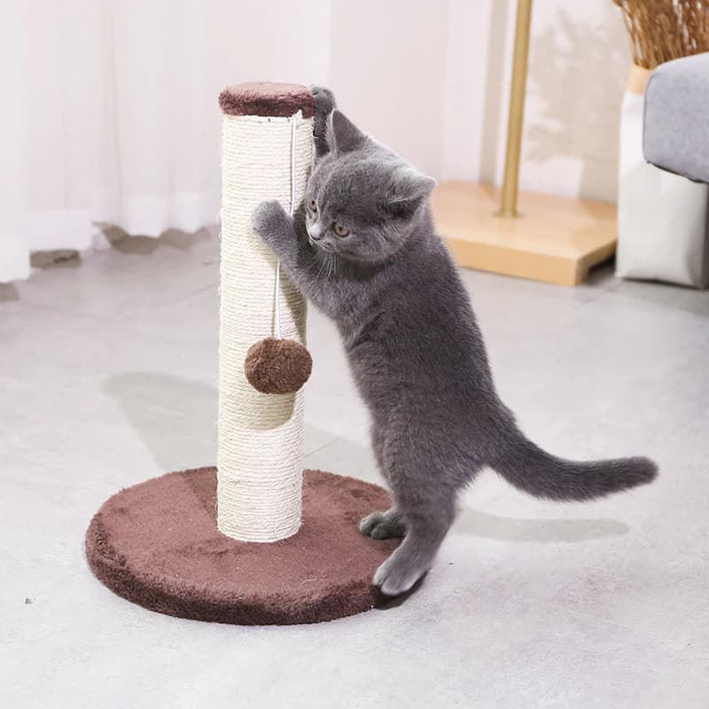 Giocattoli per Gatti: Albero Tiragraffi in Legno Personalizzato con Corda in Sisal e Palla Giocattolo