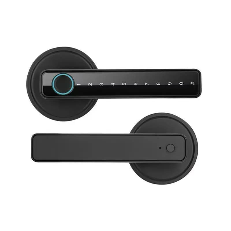【RICOMANDATO】 Serratura Intelligente Tuya con Controllo Remoto tramite APP, Serratura Elettronica Digitale Bluetooth con Sblocco Tramite Impronta Digitale, Chiave e Password