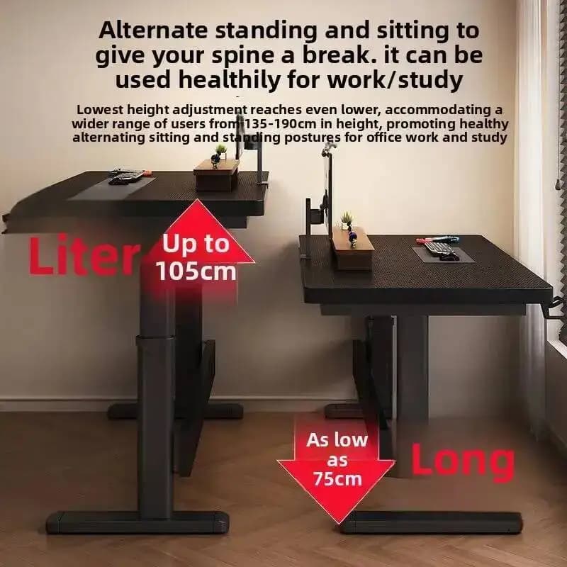 Scrivania Regolabile Elettrica Ergonomica con Controller per Computer, Tavolo per Laptop con Prolunga per Casa e Ufficio
