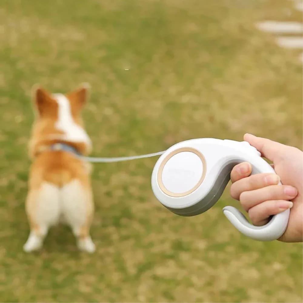 Guinzaglio Retrattile per Cani 3M 5M, Guinzaglio Automatico Estensibile in Nylon Resistente per Cani di Piccola e Media Taglia