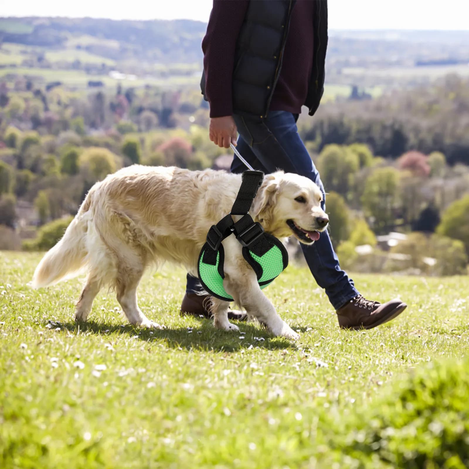 Imbracatura per Cani Regolabile e Traspirante, Gilet Anti-Trazione in Rete Resistente per Passeggiate Quotidiane, con Corda da Trazione