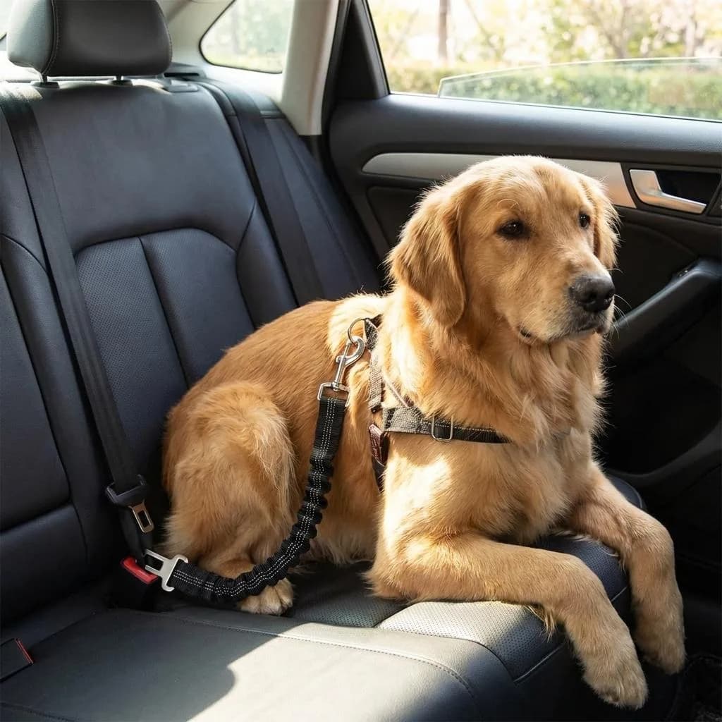 Cintura di Sicurezza Regolabile per Cani in Auto - Guinzaglio Estensibile da 62,5 cm a 90,7 cm con Gancio e Clip, Nero