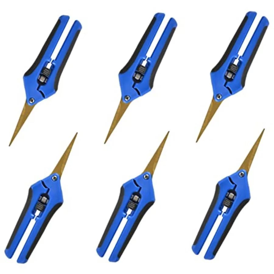 Set di 6 Forbici da Potatura da 6,5 Pollici con Lame Curve, Cesoie per Giardinaggio, Forbici Manuali per Potatura Rivestite in Titanio di Precisione