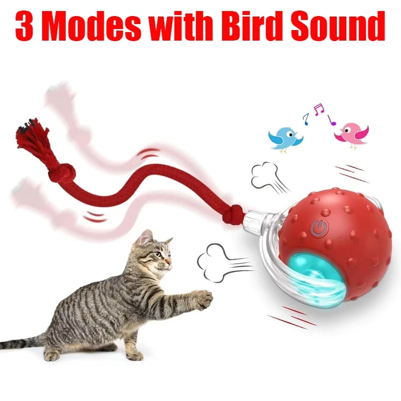 Ball Interactive Toy for Cats with Bird Belt, Super Rolling Ball Stimulating for Cats, Motion Sensor, Gattini Game